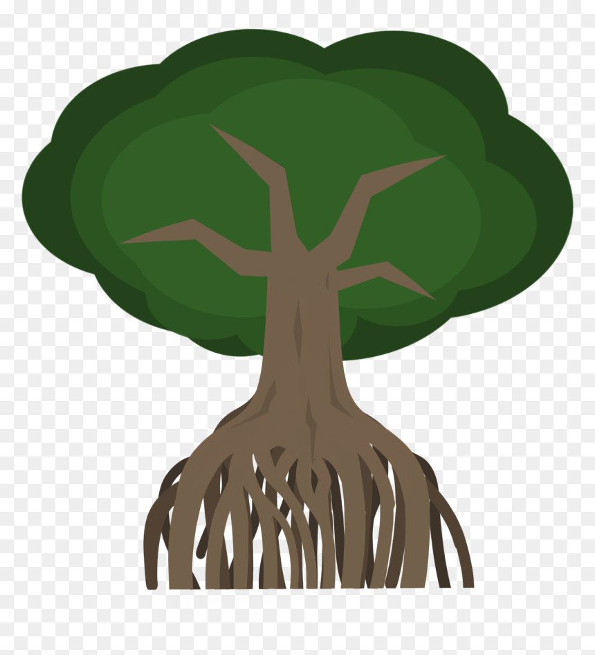 Illustration, HD Png Download - mangrove png