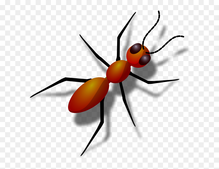 Honeypot Ant Clip Art Download - Animal That Has 6 Legs, HD Png Download - honey pot png