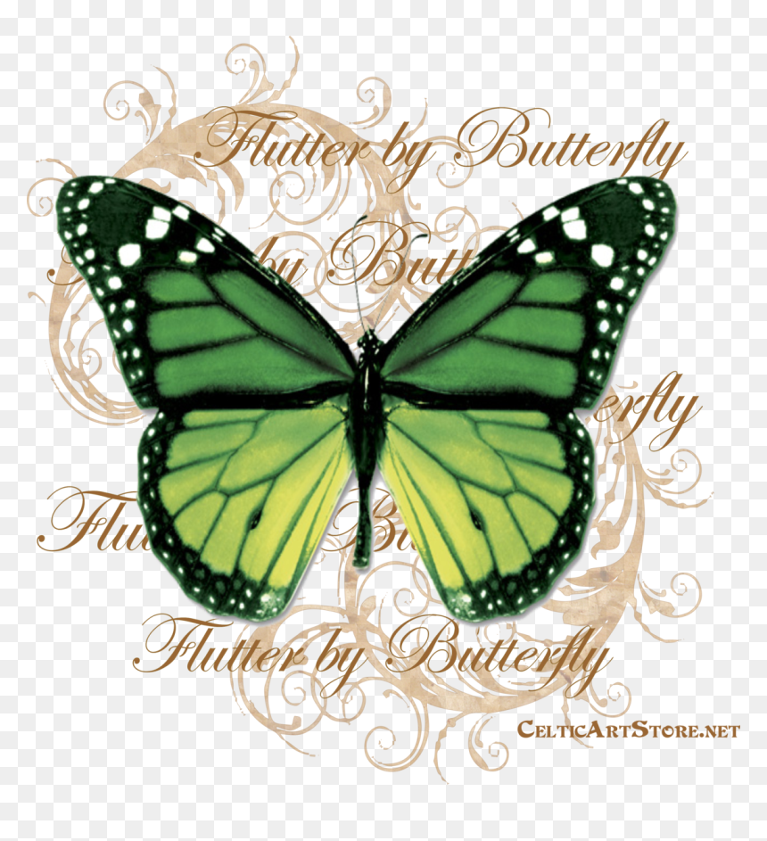 Butterflies & Dragonflies Tagged "butterfly - Rainbow Butterfly Real Life, HD Png Download - green butterfly png