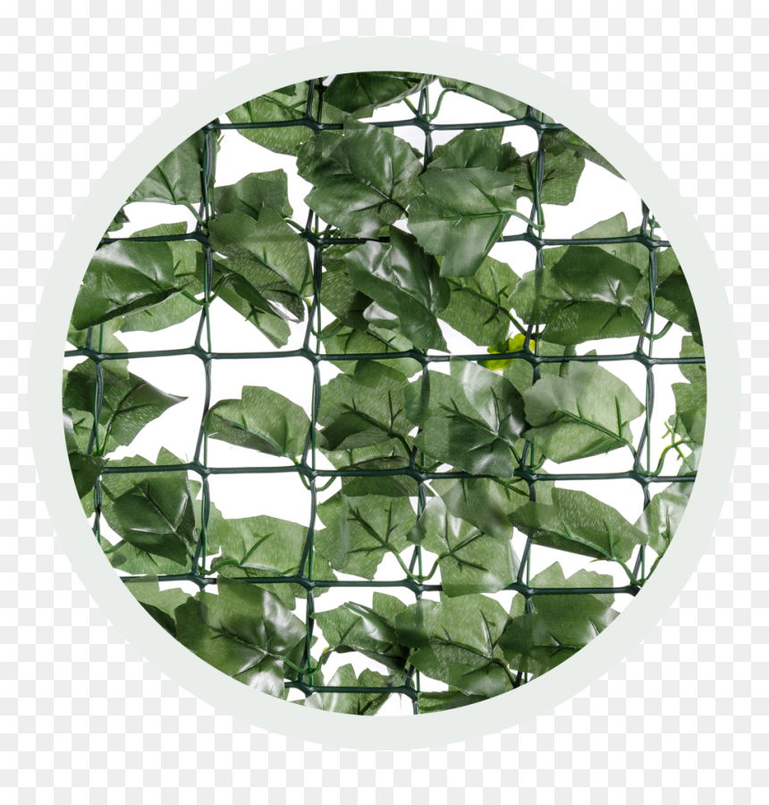 Circle, HD Png Download - ivy wall png
