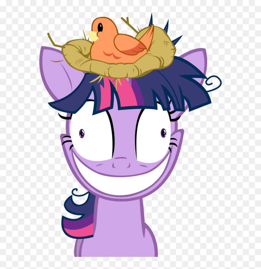 71863 Bird Bird Nest Insane Nest Twilight Sparkle Vector - Twilight Sparkle Going Crazy, HD Png Download - sparkle vector png
