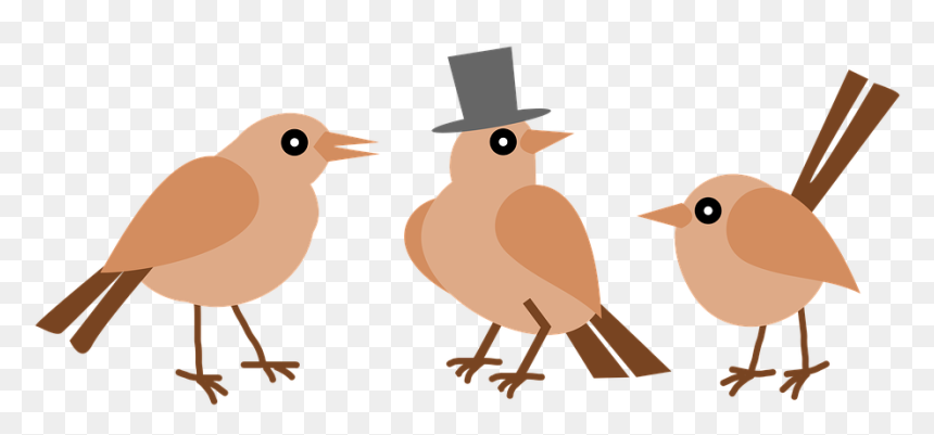 Три Птички, HD Png Download - pajaros png