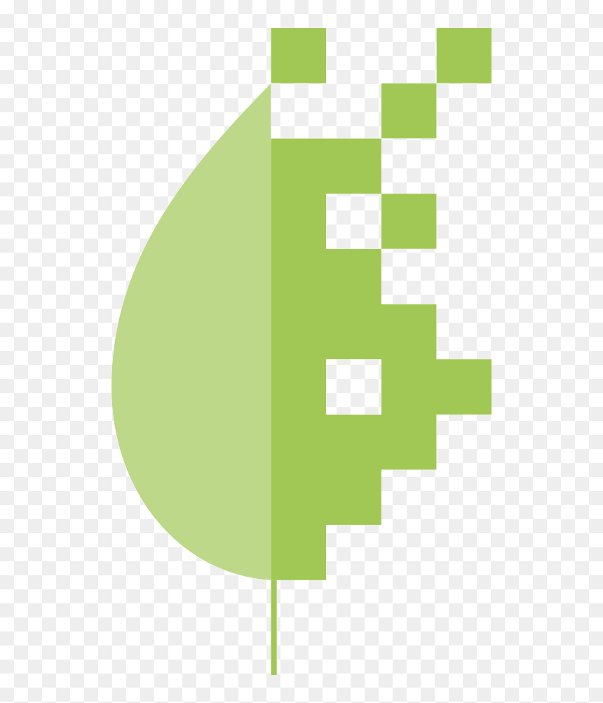 Mangrove Conservation Via Satellite - Bits Und Bäume, HD Png Download - mangrove png