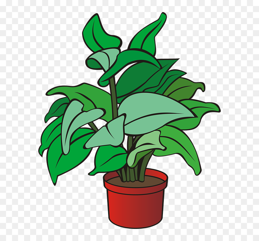 Clipart Of A Plant, HD Png Download - green plant png