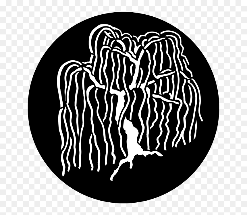Illustration, HD Png Download - weeping willow png