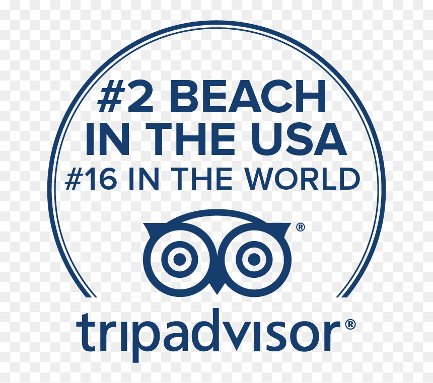 Trip Advisor Award - Trip Advisor, HD Png Download - trip advisor logo png