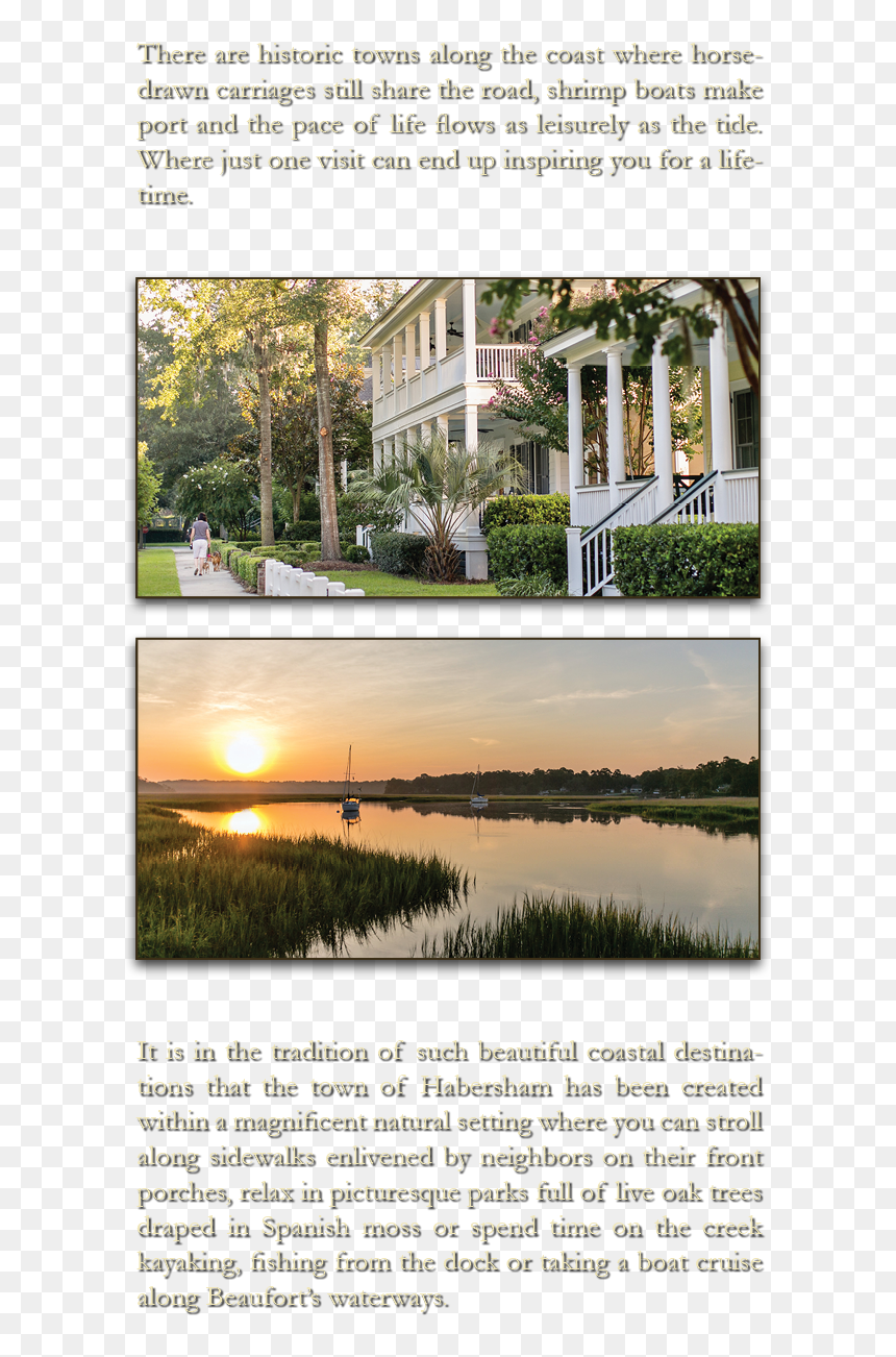 There Are Historic Towns Along The Coast Where Horse-drawn - Reflection, HD Png Download - spanish moss png