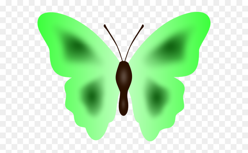 Butterfly In Green Color - Butterflies, HD Png Download - green butterfly png