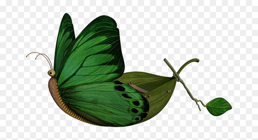 Lycaenid, HD Png Download - green butterfly png