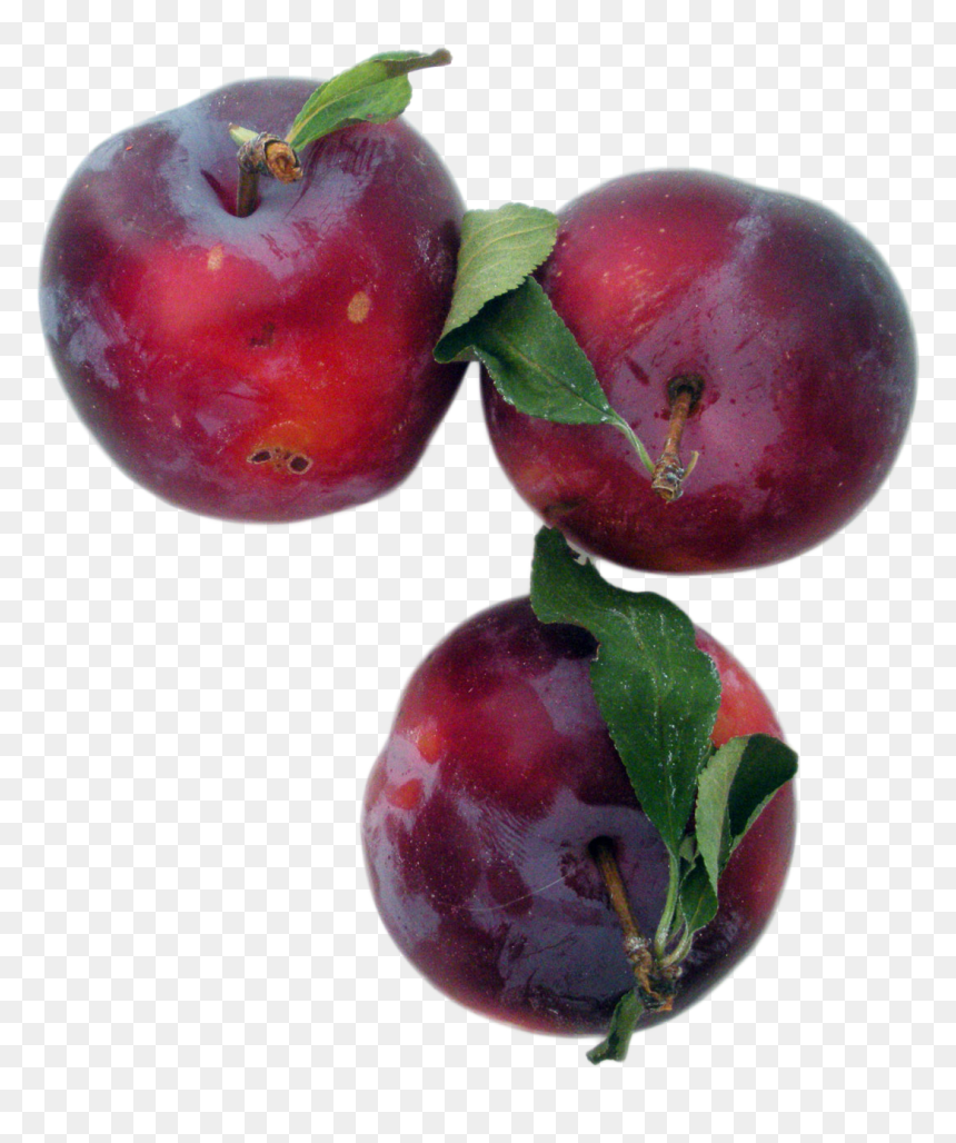 Plums - Plum Png Transparente, Png Download - plum png