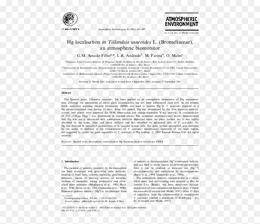 Document, HD Png Download - spanish moss png