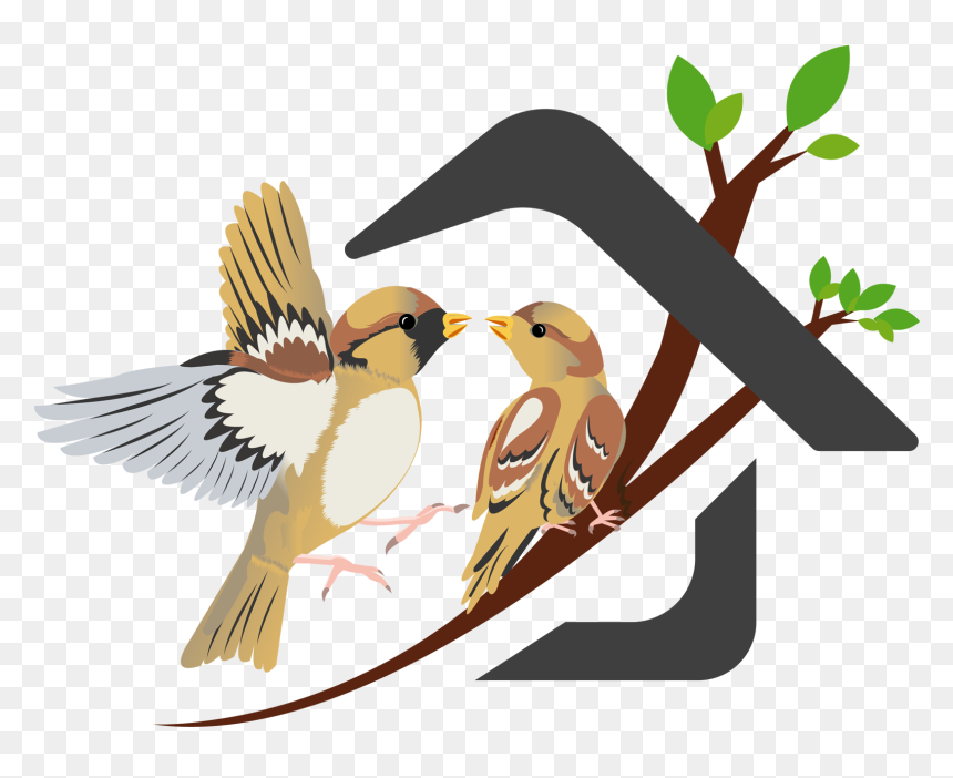 Nest Clipart Sparrow Nest - Sparrow Nest Clipart Png, Transparent Png - sparrow png