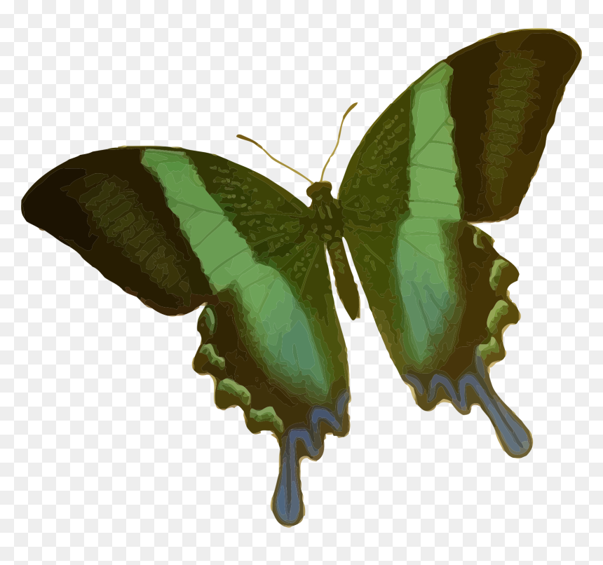 2 Corinthians 5 17 T Shirt, HD Png Download - green butterfly png