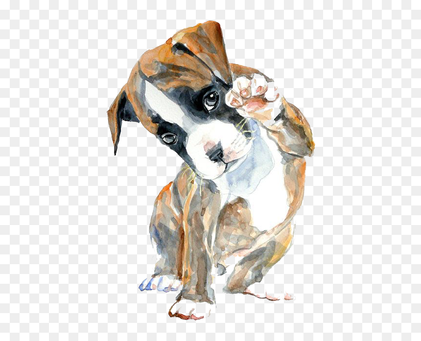 Oil Hello Watercolor Boxer Puppy Painting Drawing Clipart - Puppy Watercolor, HD Png Download - boxer dog png