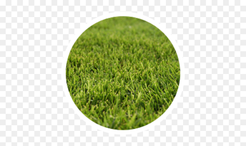 Circle, HD Png Download - grassy hill png