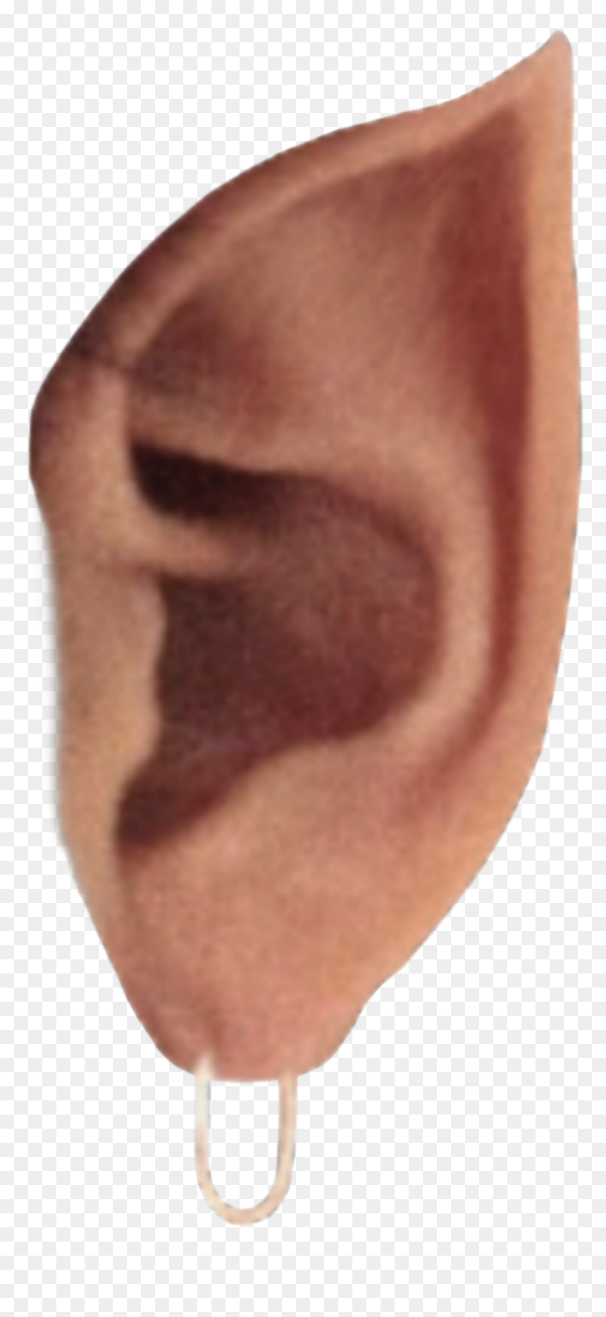 Update Old Sticker - Artifact, HD Png Download - elf ear png