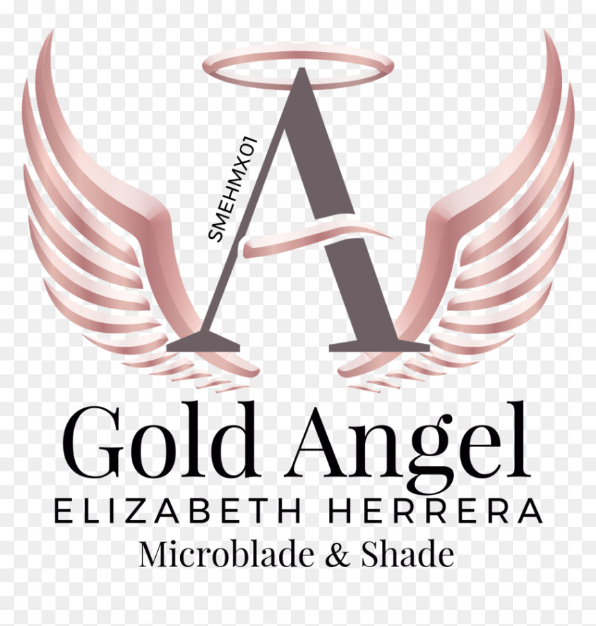 Beauty Angels Academy Png, Transparent Png - gold angel wings png