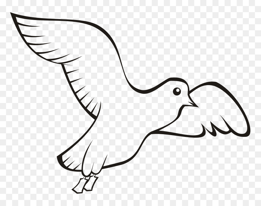Bird In Flight 2 - Domestic Birds Outline Drawing, HD Png Download - bird outline png