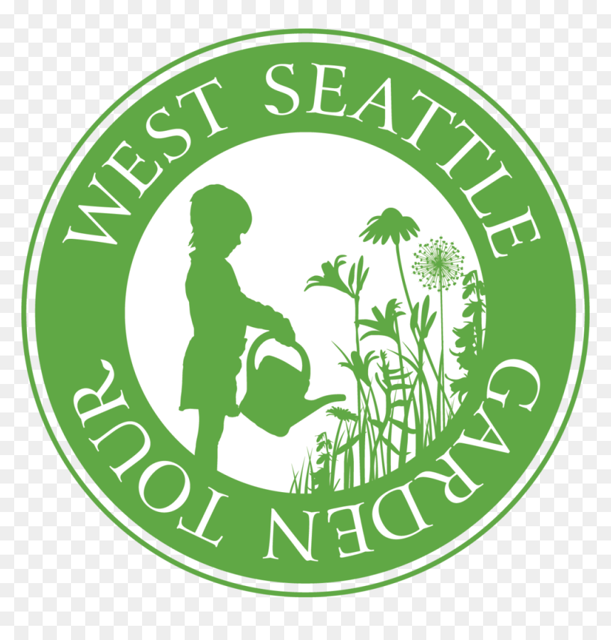 Transparent Weeping Willow Clipart - Marmara Üniversitesi, HD Png Download - weeping willow png
