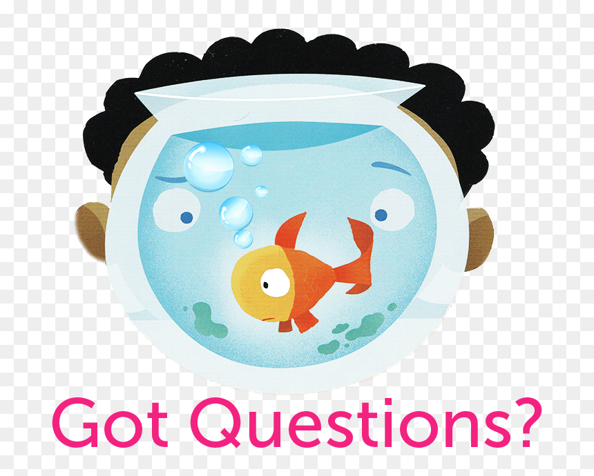 Ask Norman Your Questions Here - Not Norman, HD Png Download - goldfish cracker png