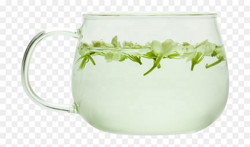 Transparent Jasmine Flower Png - Cup, Png Download - jasmine flower png