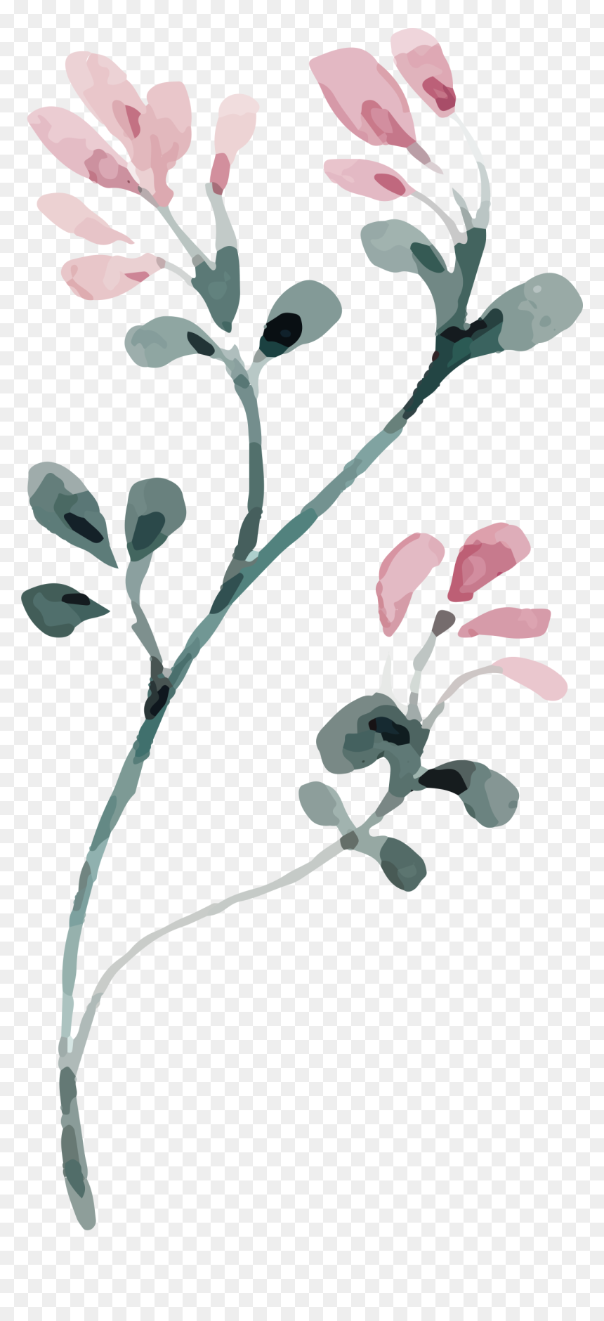 Happy 50th Birthday - Smoketree, HD Png Download - 50th birthday png