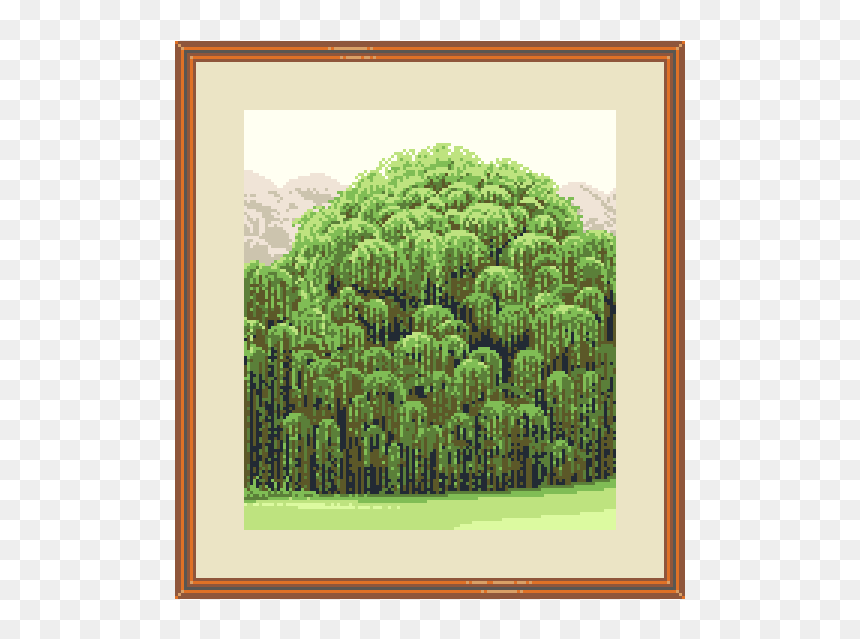 Conifer, HD Png Download - weeping willow png