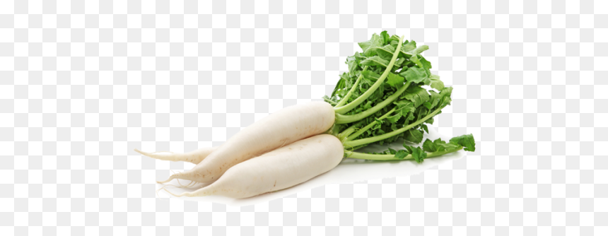 Mooli Png Transparent Image - Vegetables Radish, Png Download - radish png
