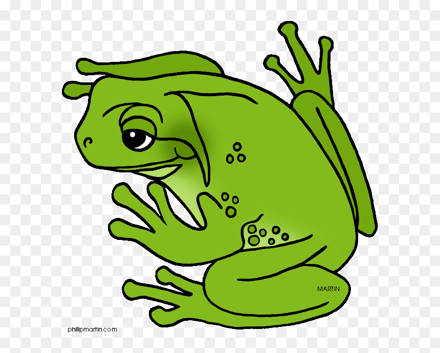 Green Frog Clipart Cool Frog - Green Tree Frog Clipart, HD Png Download - tree frog png