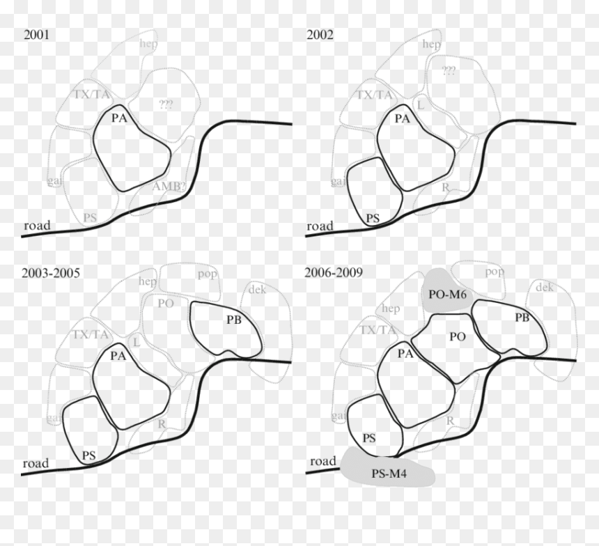 Sketch, HD Png Download - chalk outline png
