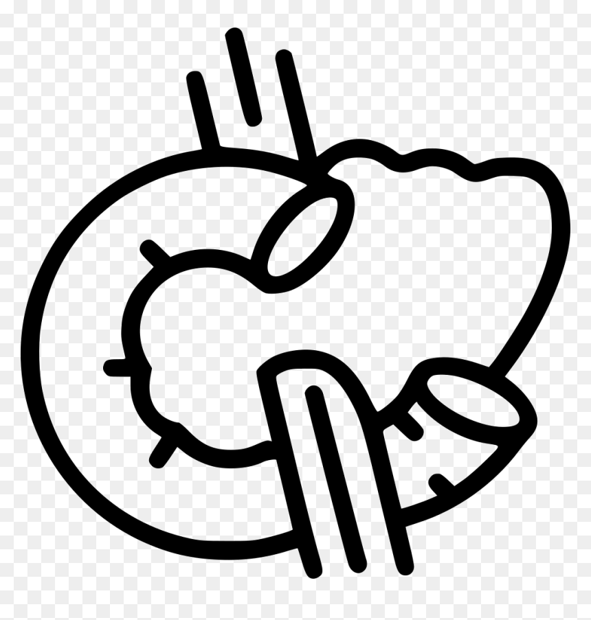 Pancreas - Beef Pancreas Icon Png, Transparent Png - pancreas png