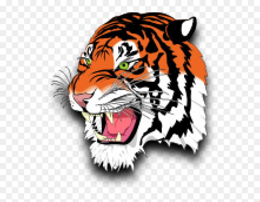 Tiger Reading A Book Clipart Clip Library Stock Description - Lynn Tech Tigers, HD Png Download - roaring tiger png