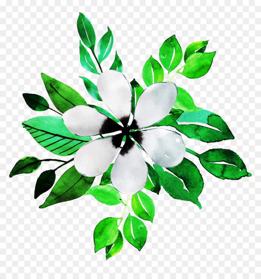 Jasmine, HD Png Download - jasmine flower png