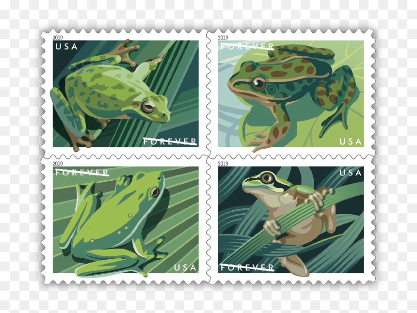 Frog Booklet Hops By July 9 In Boise, Idaho - Frog Stamps, HD Png Download - tree frog png
