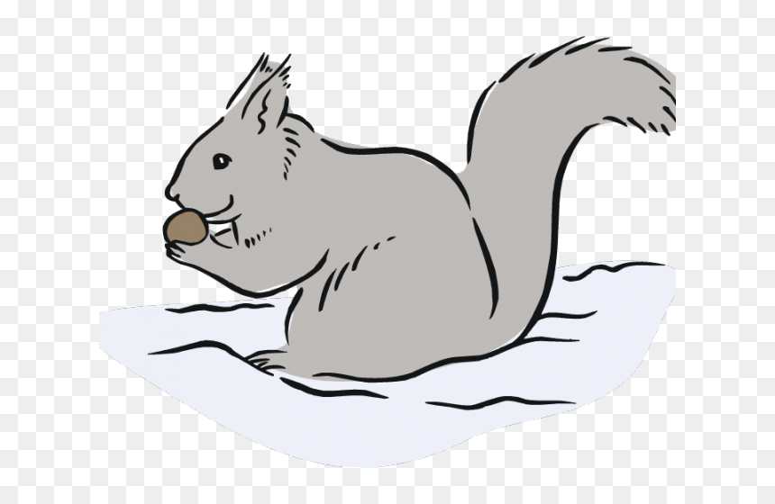 Gray Squirrel Clip Art, HD Png Download - morpankh png