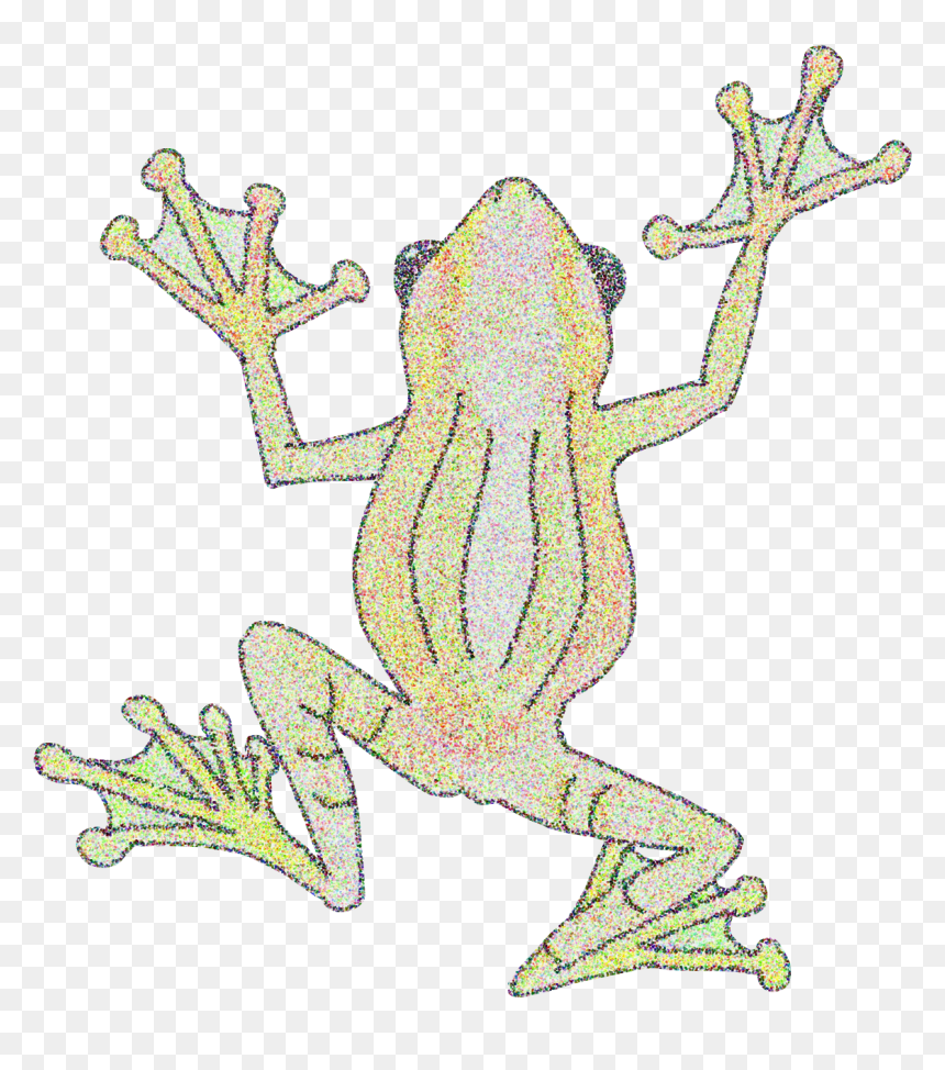 Bamboo Tree Frog - Frogs, HD Png Download - tree frog png