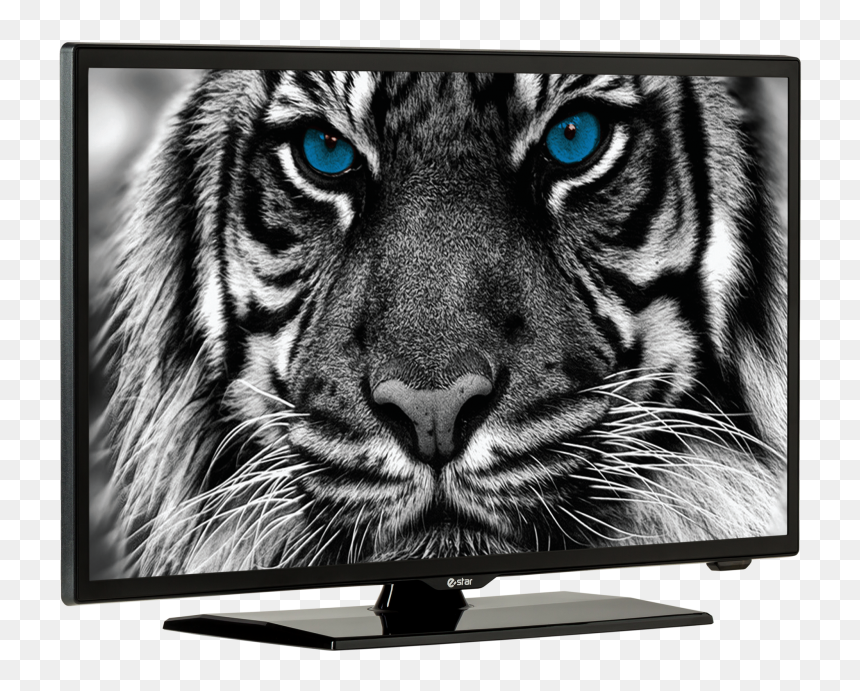 Estar Ledtv 22d4t2 Angle Side - Estar Led Tv, HD Png Download - hd tv png