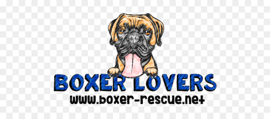 Boxer Lovers Rescue - Boxer, HD Png Download - boxer dog png