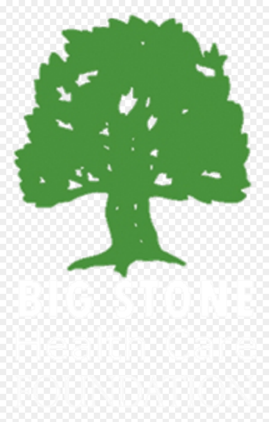 Big Stone Health Care Foundation - Jack Pine, HD Png Download - big stone png