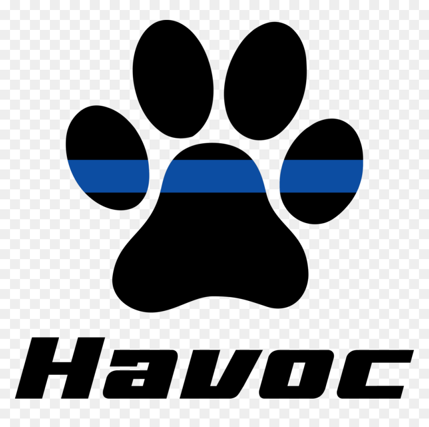 Havoc-pawprint - Graphic Design, HD Png Download - unit circle png