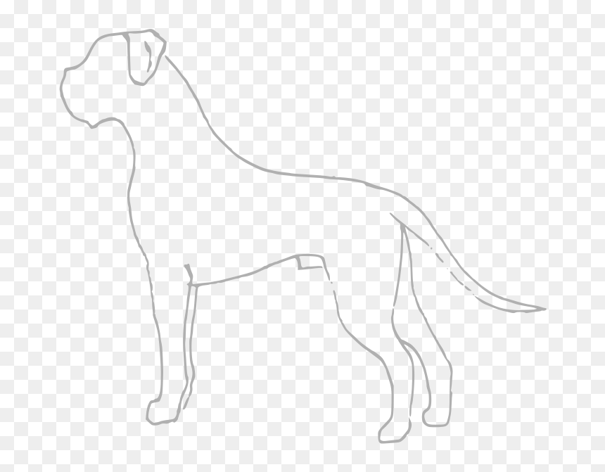 Boxer Dog Png, Transparent Png - boxer dog png