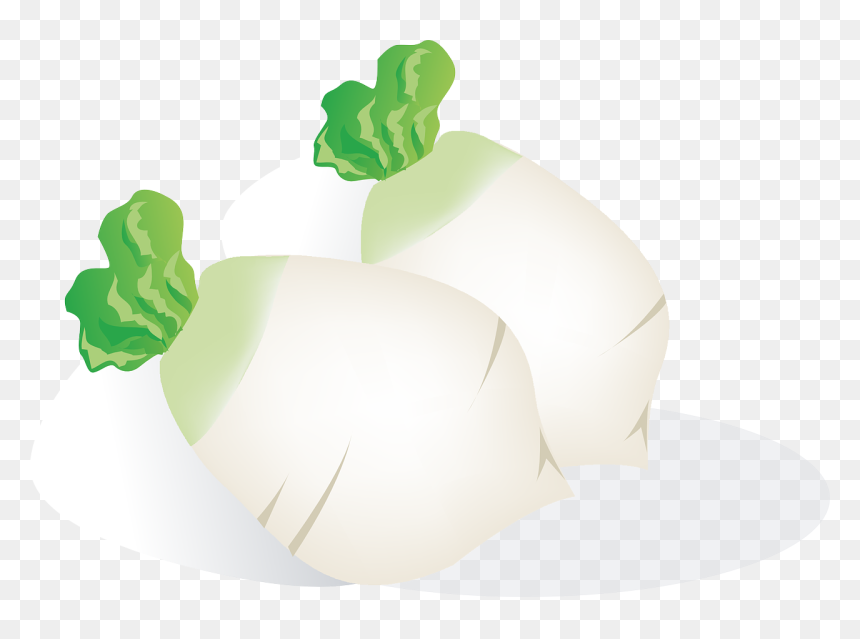หัว ไช เท้า การ์ตูน, HD Png Download - radish png