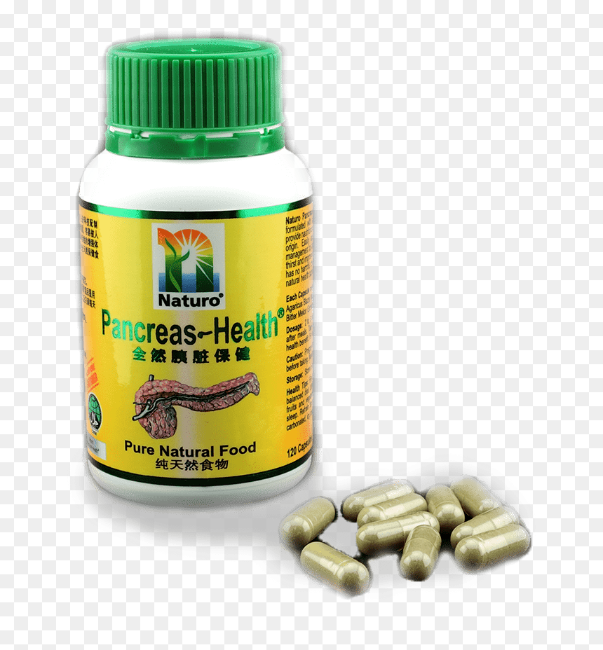 Pancreas Health, HD Png Download - pancreas png