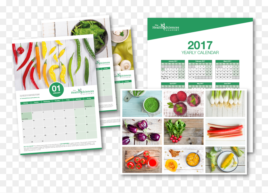 Food Group, HD Png Download - 2017 calender png