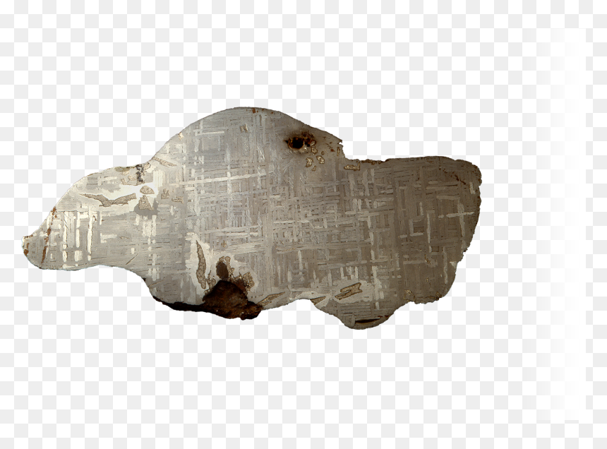 Animal, HD Png Download - meteors png