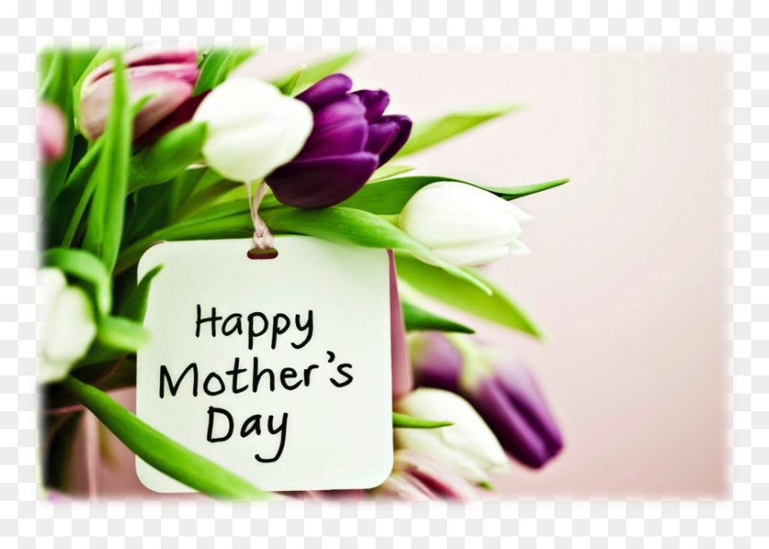 Mothers Day Banner Png - Mothers Day Doterra Essential Oil, Transparent Png - happy womens day png
