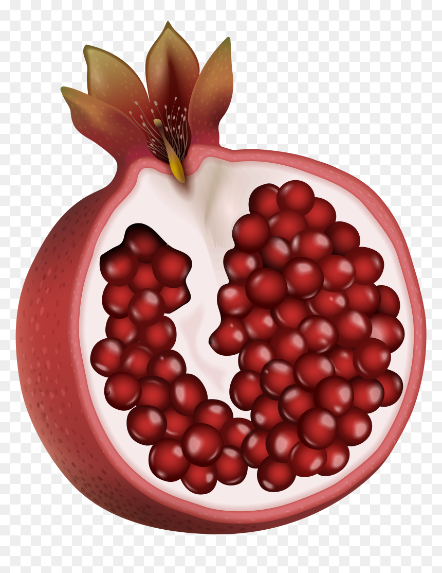 Pomegranate Clipart Pomegranite - Clipart Pomegranate Transparent, HD Png Download - pomegranate seeds png