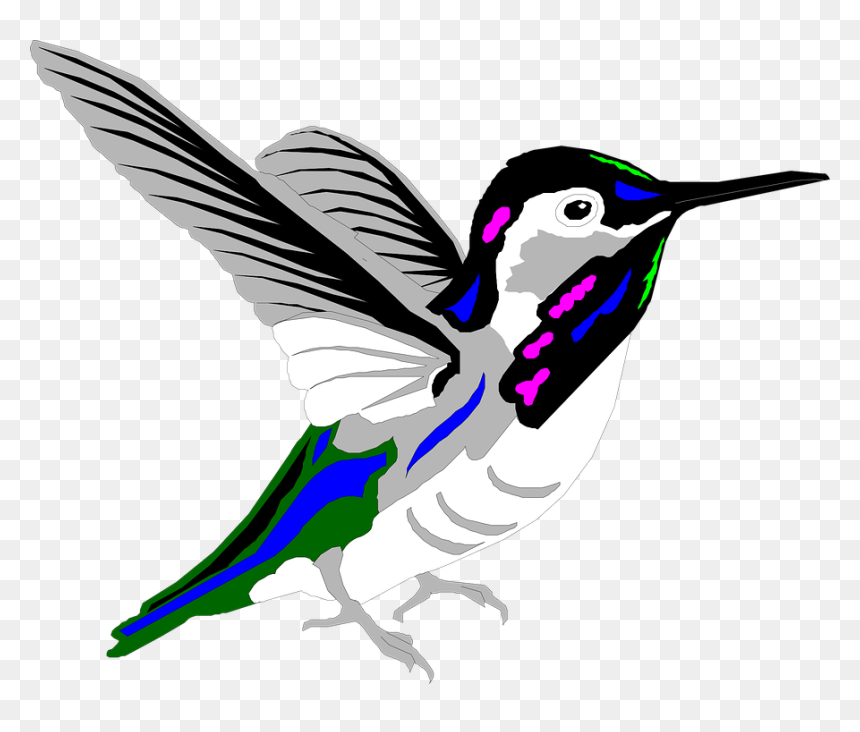Transparent Free Bird Png - Kolibri Kartun, Png Download - bird png images