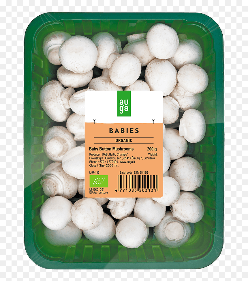 Champignon Mushroom, HD Png Download - button mushroom png