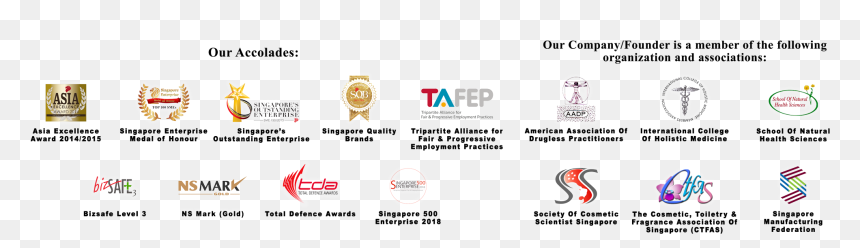Workplace Safety And Health In Singapore, HD Png Download - plumeria tree png